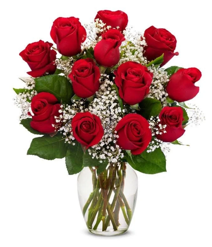 1 Dozen Red long stem roses for Valentine's day